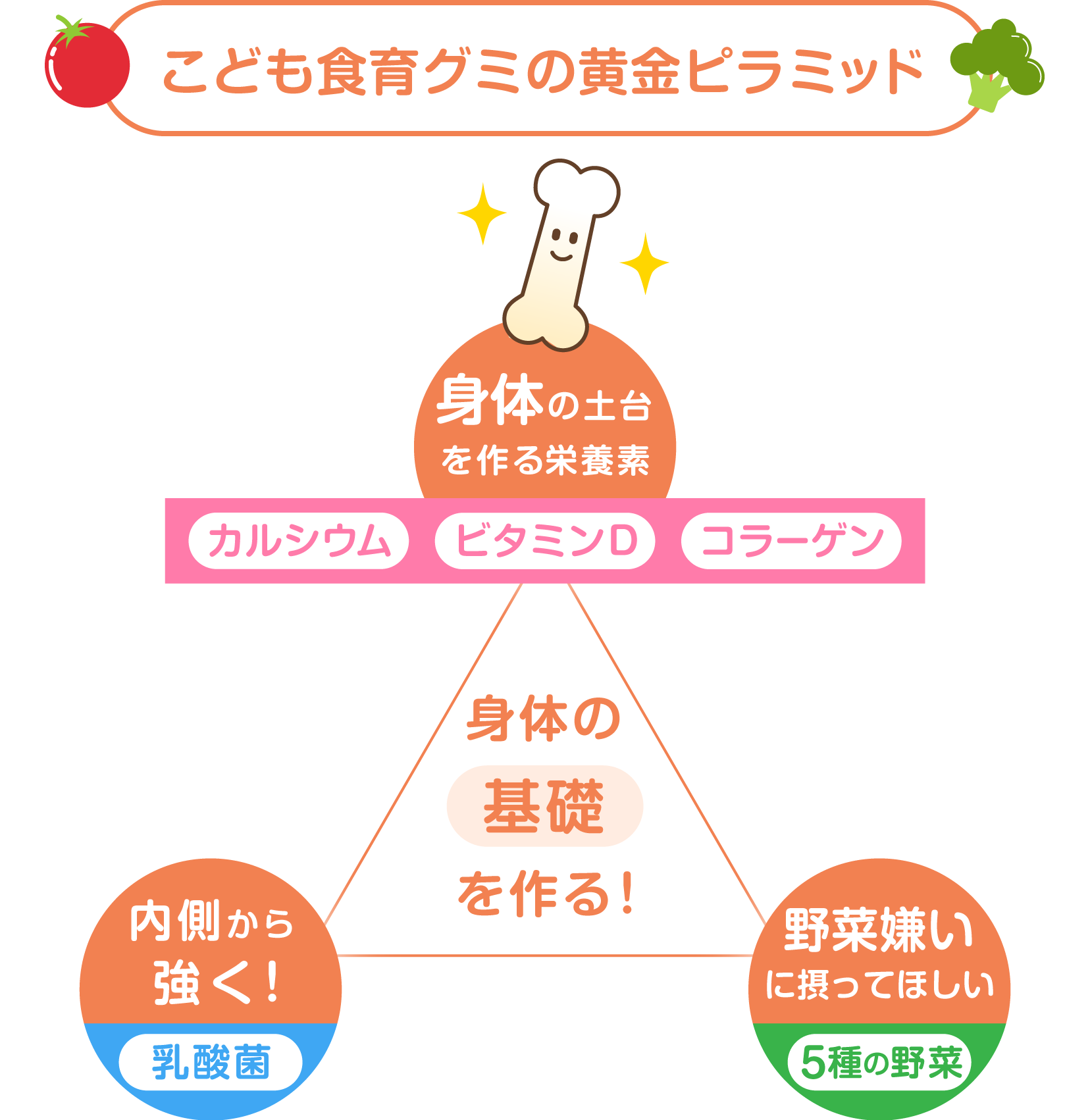 こども食育グミの黄金ピラミッド